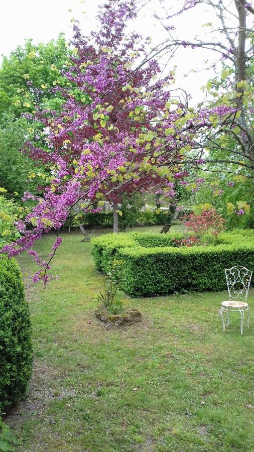 Manoir De La Chapelle Couette-café